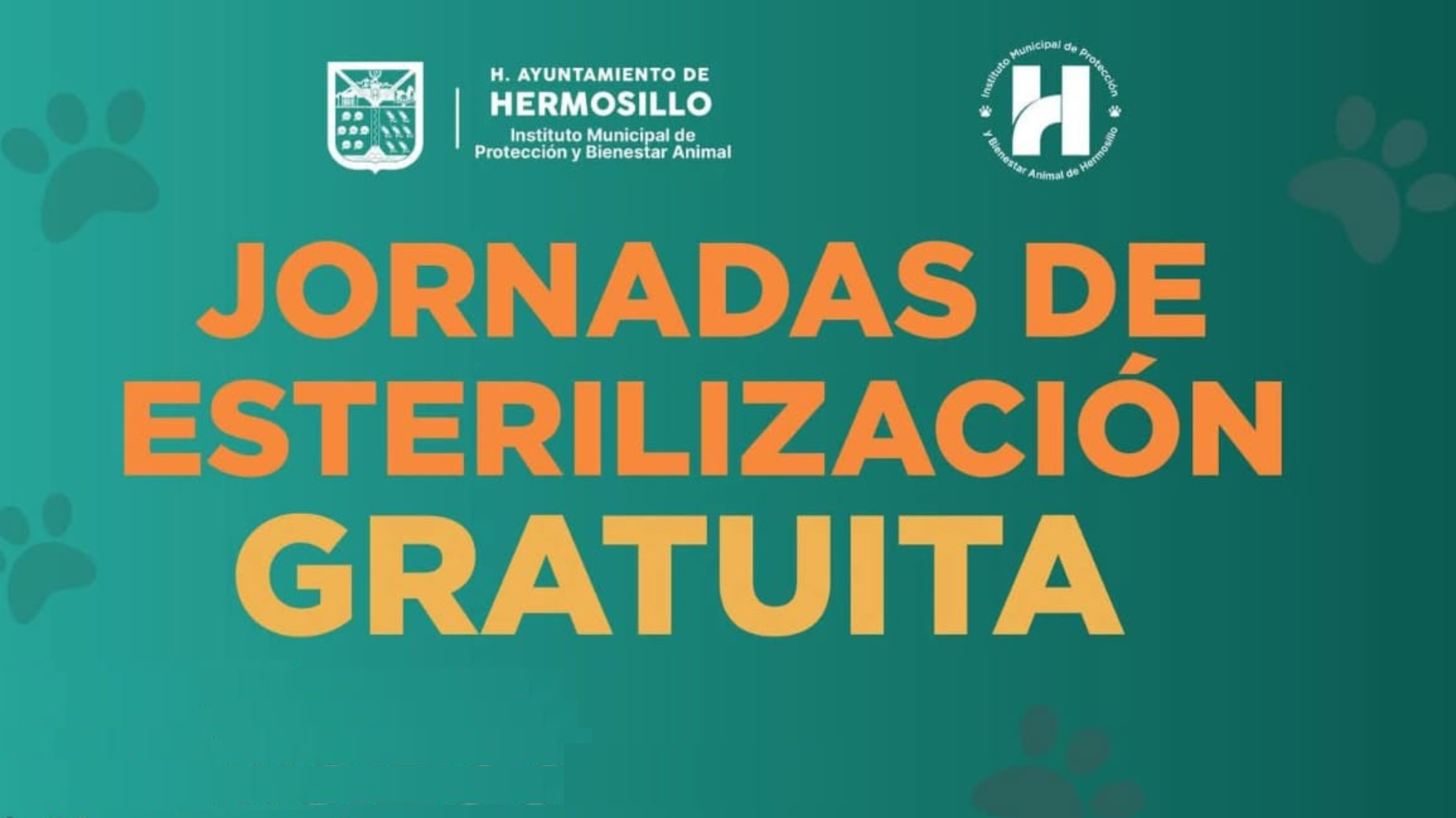 Ayuntamiento de Hermosillo mantiene programa de esterilización gratuita para perros y gatos