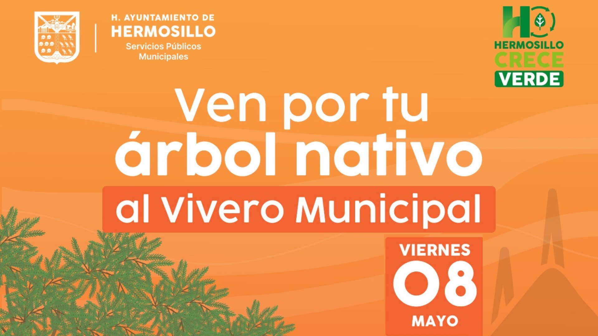 Gobierno de Hermosillo realizará jornada de donación de árboles nativos este 8 de mayo