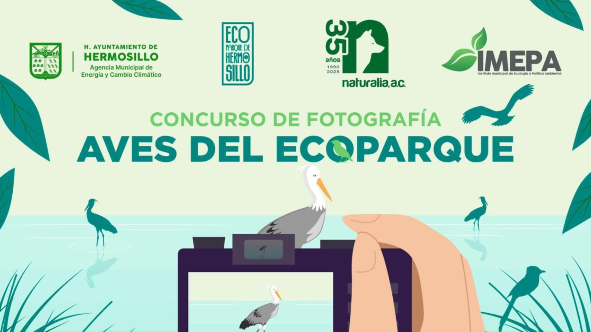 El Gobierno de Hermosillo invitó a la ciudadanía a participar en el concurso de fotografía “Aves del Ecoparque”