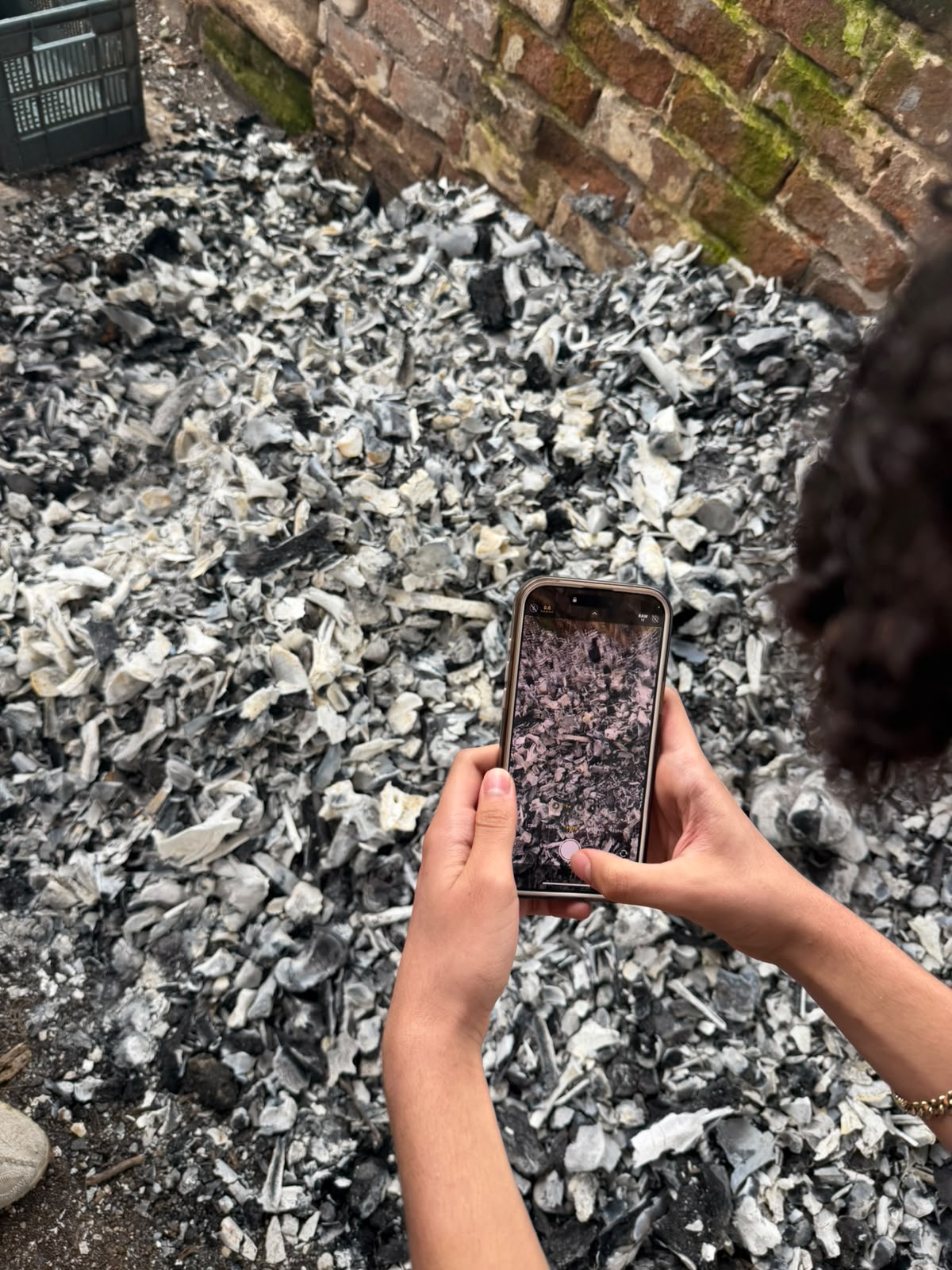 Madres Buscadoras denuncian falta de apoyo tras localizar presunto crematorio clandestino en Jalisco