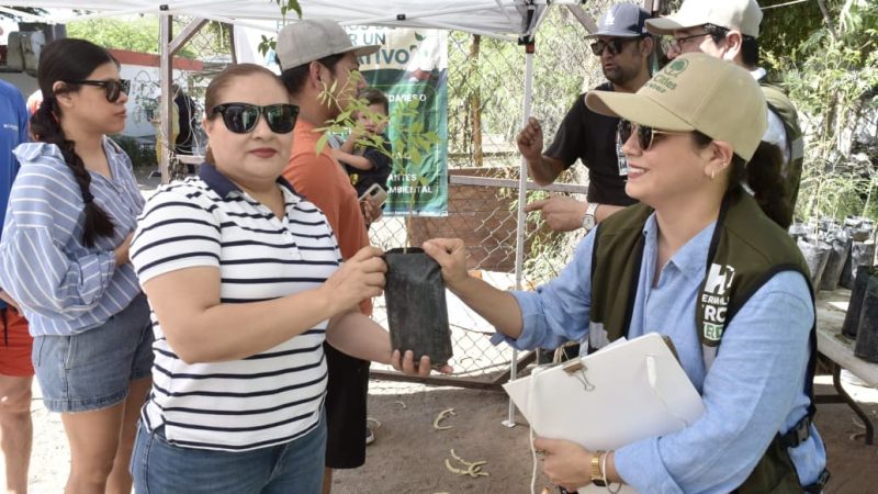 Donará Vivero Municipal árboles nativos este viernes