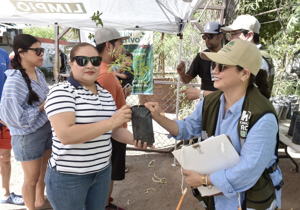 Donará Vivero Municipal árboles nativos este viernes